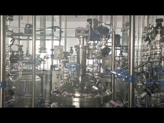 KİMYASAL CAM REAKTÖR